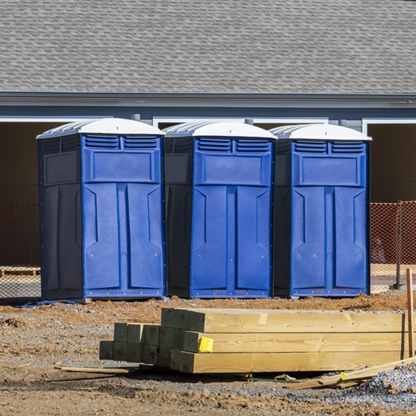 do you offer wheelchair accessible porta potties for rent in Woodson Texas